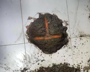 芙蓉查漏水多少钱