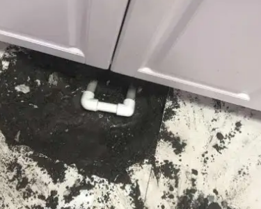 芙蓉查漏水哪家好